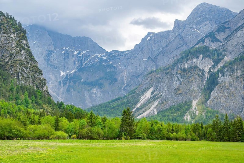 Spring meadow with the Alps in the background on a rainy day, Traunkirchen, Salzkammergut, Austria