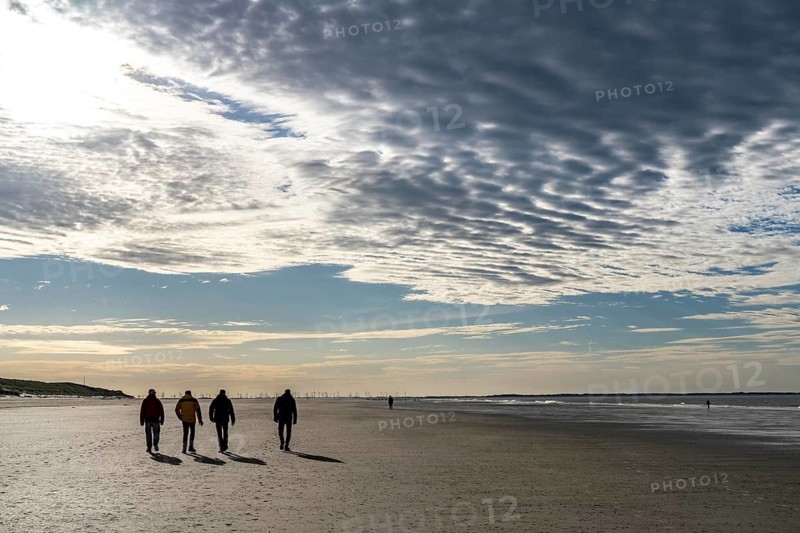 Walkers on the Wadden Sea near the East Frisian island of Spiekeroog, west of the North Sea island, at low tide, wind farm on the coast in the background, Lower Saxony, Germany