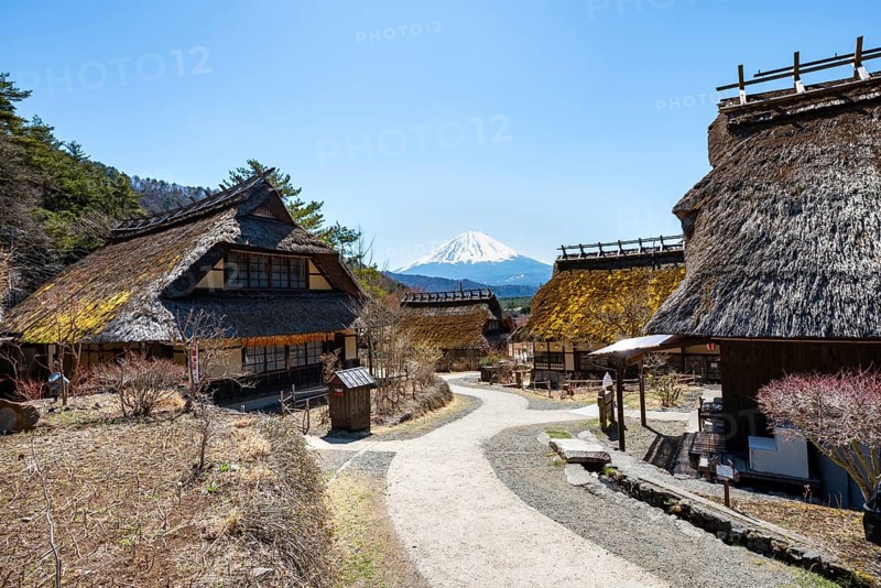 Iyashinosato open-air museum, old Japanese village with traditional houses, at the back volcano Mt. Fuji, Fujikawaguchiko, Saiko, Japón