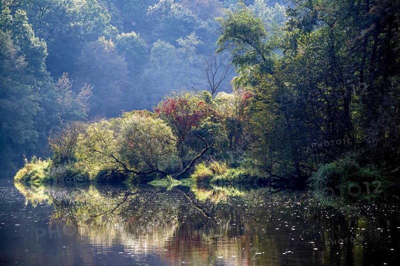 Autumn landscape, trees reflected in water, Thaya River, Thaya Valley National Park, Lower Austria, Austria