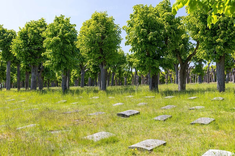 Tombstones on the Gottesacker, the historic cemetery of the Herrnhuter Brüdergemeinde, Herrnhut, Upper Lusatia, Saxony, Germany