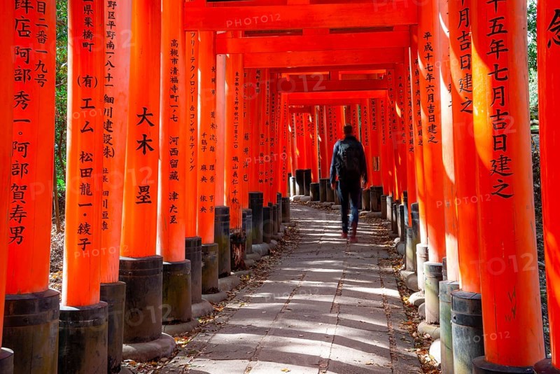 Visitors on a journey through hundreds of red traditional torii gates, Fushimi Inari-taisha, Shinto shrine, long exposure, motion blur, Fushimi Inari-taisha Okusha Hohaisho, Kyoto, Japan