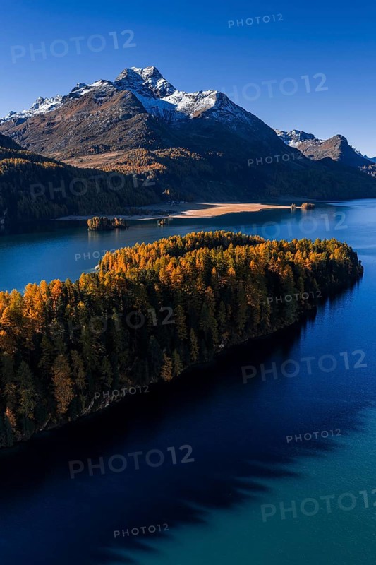 Mountain landscape, mountain lake, larch forest, autumn, autumn color, morning light, sunny, aerial view, Lake Sils, Engadin, Switzerland