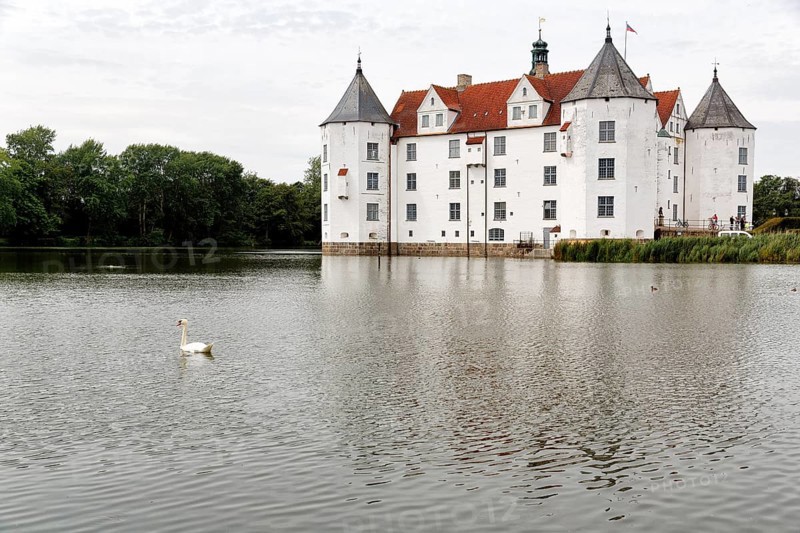 Hocker swan (Cygnus olor) in front of Glücksburg Castle, residential castle, moated castle with museum, Renaissance architecture, Glücksburg, Germany