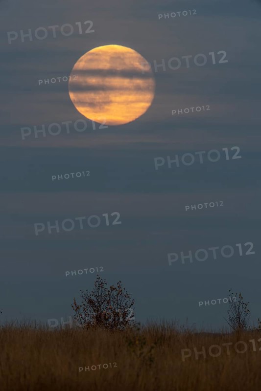 Full moon, super moon over the moor, Emsland, Lower Saxony, Germany