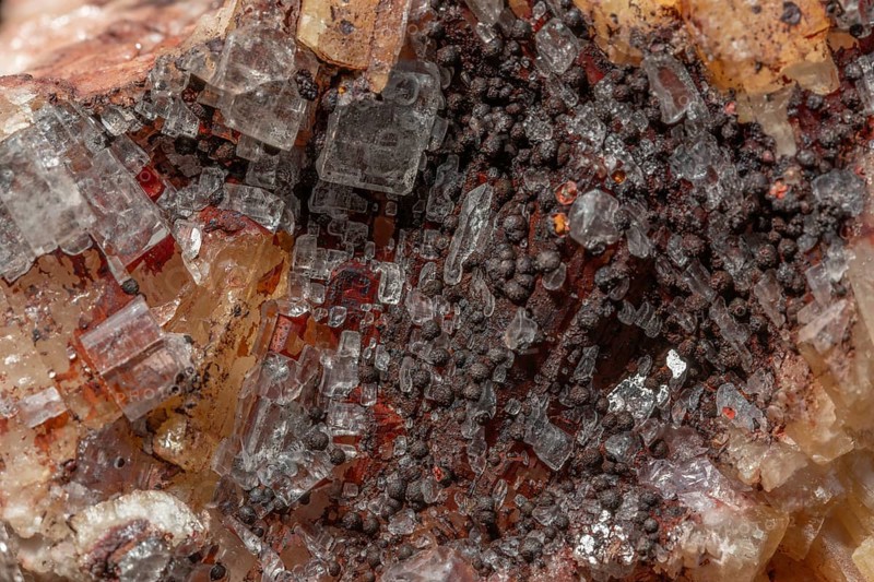 Transparent crystals sit on rocks and reveal their unique shimmer and geological structure. The light underlines the natural beauty of minerals. Bas Rhin, Alsace, France