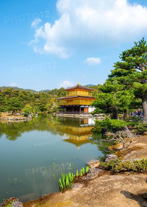 Golden Pavilion reflected in pond, Japanese garden, Golden Pavilion Temple, Kinkaku-ji reliquary, Buddhist temple complex, Kyoto, Japan