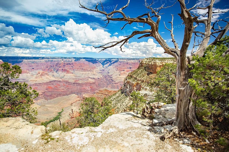 Beautiful landscape of the grand canyon, arizona