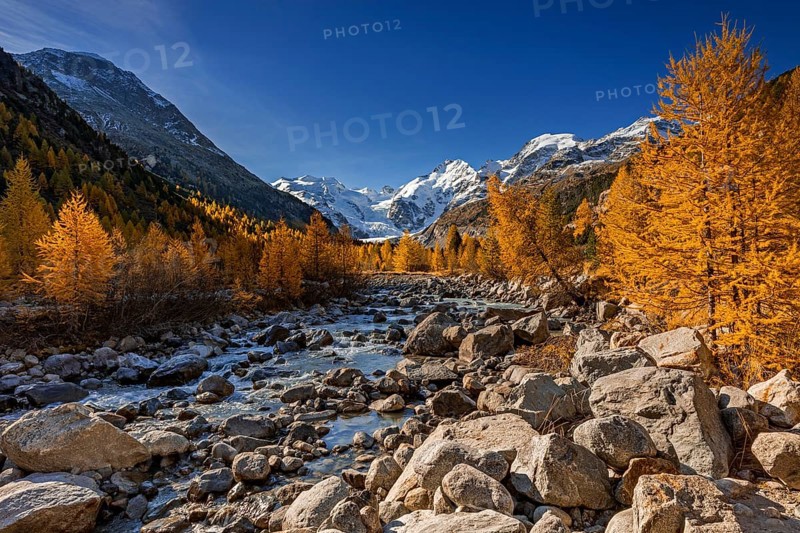 River, larch forest, autumn color, autumn, mountains, glaciers, morning light, Morteratsch Valley, Morteratsch Glacier, Engadin, Switzerland