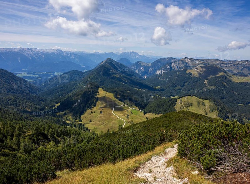 Hiking trail on the Braunedlkogel, Postalm, Osterhorn Group, Salzkammergut, Province of Salzburg, Austria