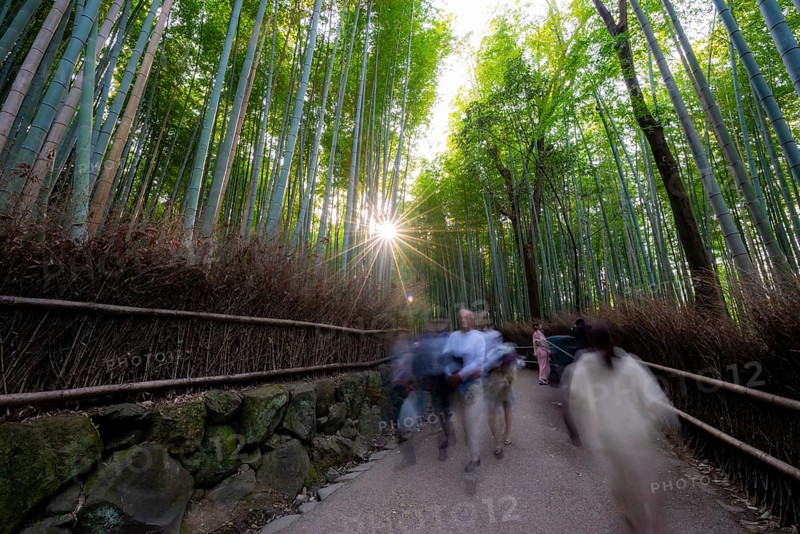 Visitors on their way through bamboo forest, long exposure, towering bamboo stems in Arashiyama bamboo forest, with sun star, Kyoto, Japan
