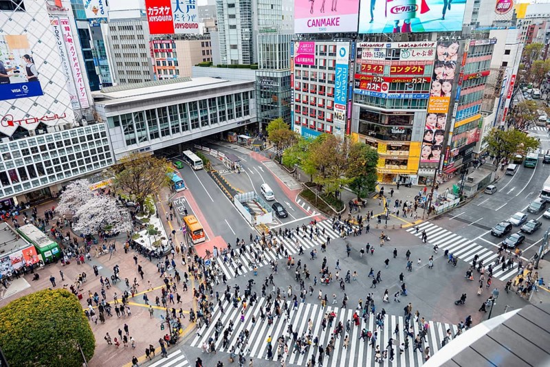 Modern houses with colorful neon signs and large road intersection, Shibuya Crossing from above, crowd at crossroads with crosswalks, Shibuya, Tokyo, Japan