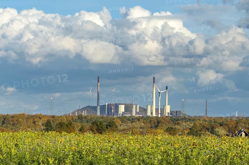Symboldild with clouds Cumulus calvus for wind energy at the top, Uniper power plant with fossil energy the largest hard coal-fired power plant in Germany, at the bottom in the foreground sunflower symbol for solar energy, North Rhine-Westphalia, Germany