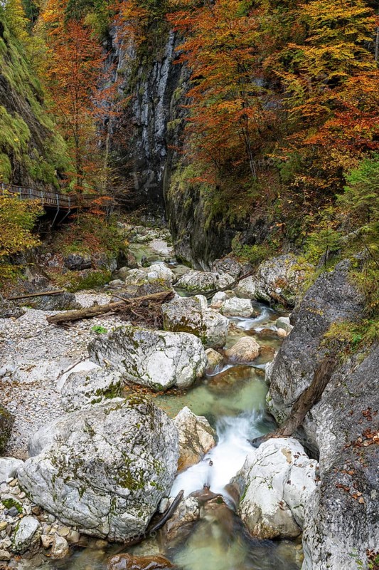 Stream in autumn in the Nothklamm, Gams, Palfau, Hieflau, Styria, Austria