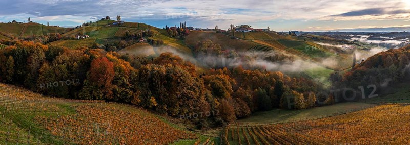 Panorama, aerial view, typical landscape in autumn with vineyards, South Styrian hills, South Styrian wine route, Styria, Austria