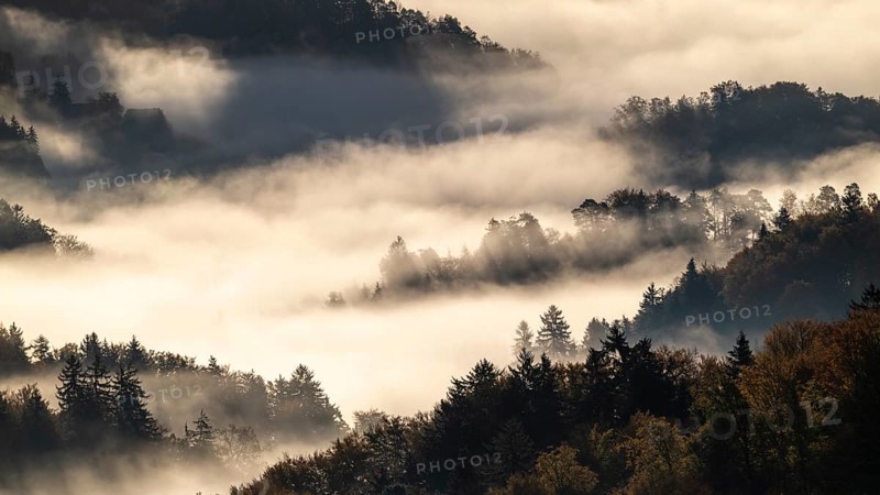 Sunrise, typical landscape in autumn with vineyards and fog, South Styrian hills, South Styrian wine route, Styria, Austria