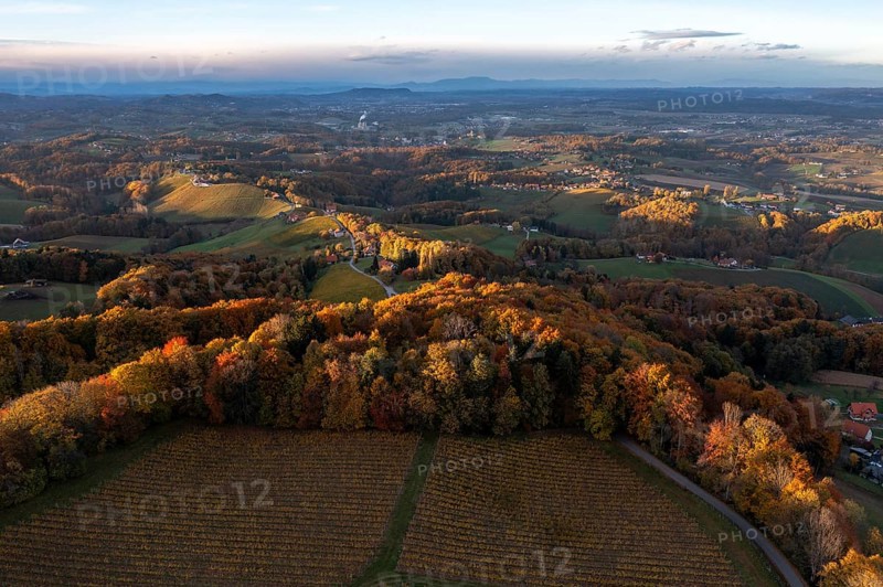 Aerial view, sunrise, typical landscape in autumn with vineyards, South Styrian hills, South Styrian wine route, Styria, Austria