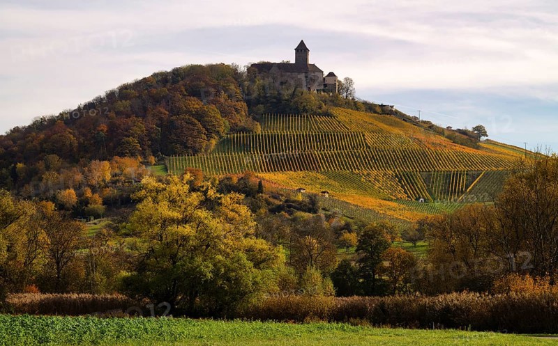 Lichtenberg Castle, Oberstenfeld, Bottwartal, Löwensteiner Mountains, vineyard, vines, viticulture, graphic, autumn colors, autumn, Baden-Württemberg, Germany