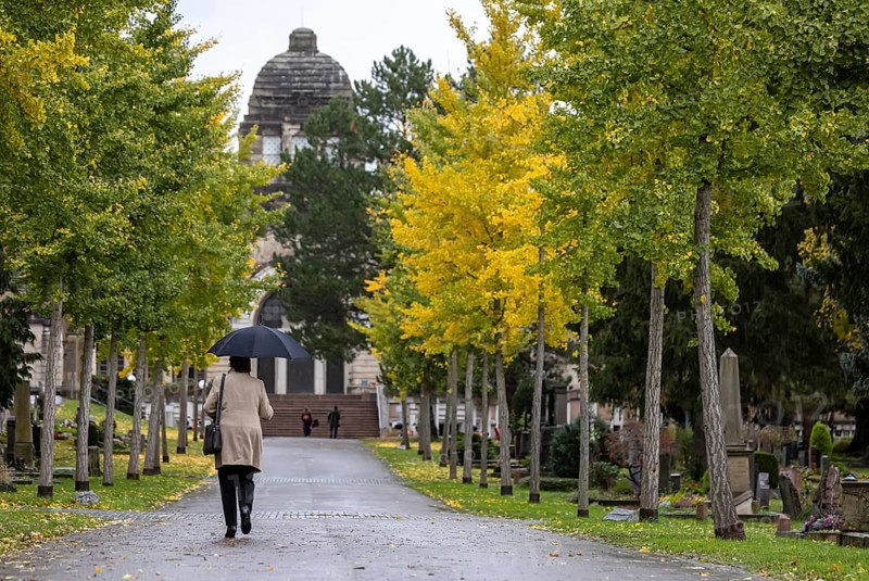 Pragfriedhof Stuttgart in autumn. November is traditionally a time for Christians to visit their graves. Symbolic photo with graves and grave decorations. Stuttgart, Baden-Württemberg, Germany