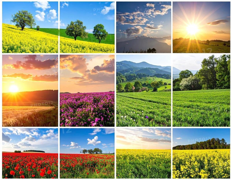 Collage of spring and summer landscapes, blooming flowers, green meadows and trees, hilly landscape with mountains, blue cloudy sky with sunrise or sunset, wallpaper illustration for banner or template background, AI generated