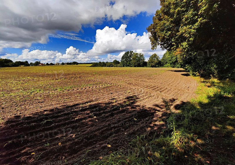 Cultural landscape, Sonnenberg municipality, Oberhavel district, Brandenburg, Germany