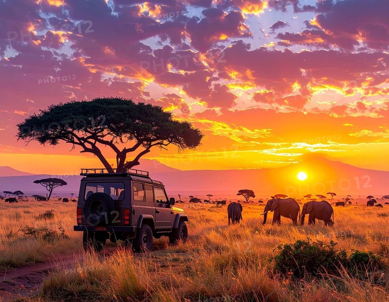 African savannah sunrise with a jeep safari and elephants, AI generated