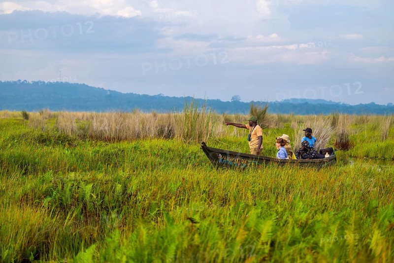 Boat with tourists in Mabamba Swamp, Tourists, Mabamba Swamp, Lake Victoria, Uganda