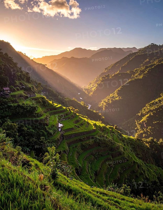 Early morning light bathes Philippines rice terraces cascading down mountain slopes, beautiful golden light, AI generated