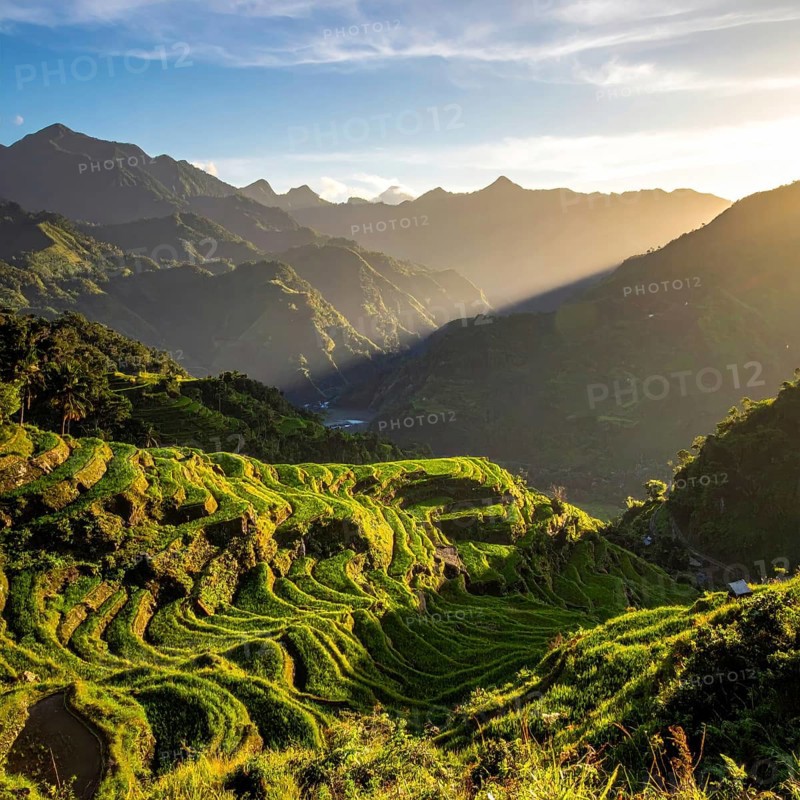 Early morning light bathes Philippines rice terraces cascading down mountain slopes, beautiful golden light, AI generated