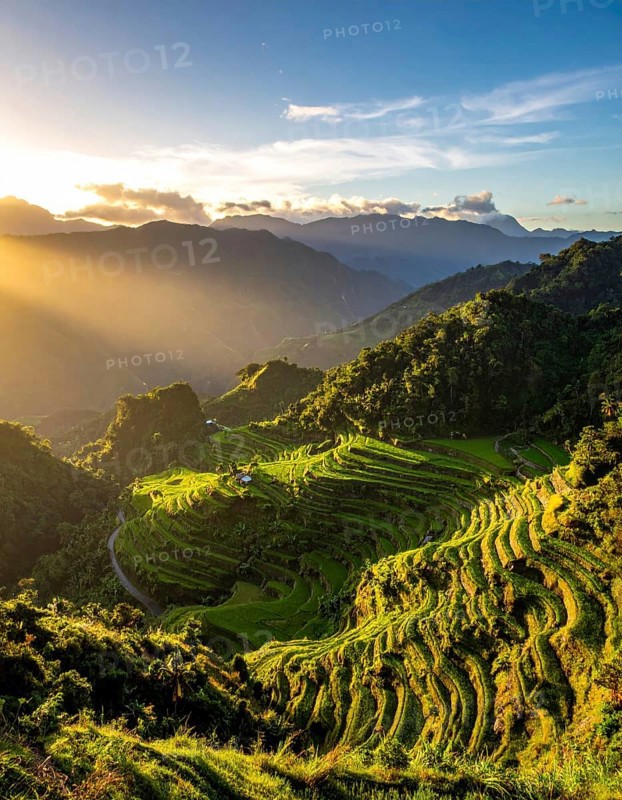 Early morning light bathes Philippines rice terraces cascading down mountain slopes, beautiful golden light, AI generated