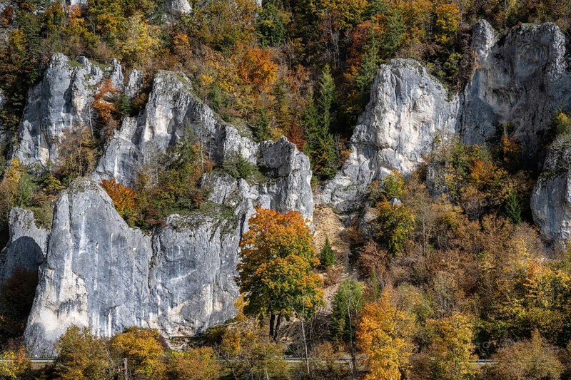 Distinctive Jurassic limestone cliffs in the upper Danube Valley, surrounded by autumn vegetation, Sigmaringen district, Baden-Württemberg, Germany
