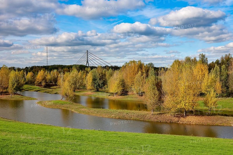 Wesel, Lower Rhine, North Rhine-Westphalia, Germany - autumn on the Lippe, trees with colorful autumn leaves in the restored river floodplain area of Büdericher Insel above the mouth of the Lippe into the Rhine, Lippe estuary nature reserve, in the back the Lower Rhine bridge Wesel