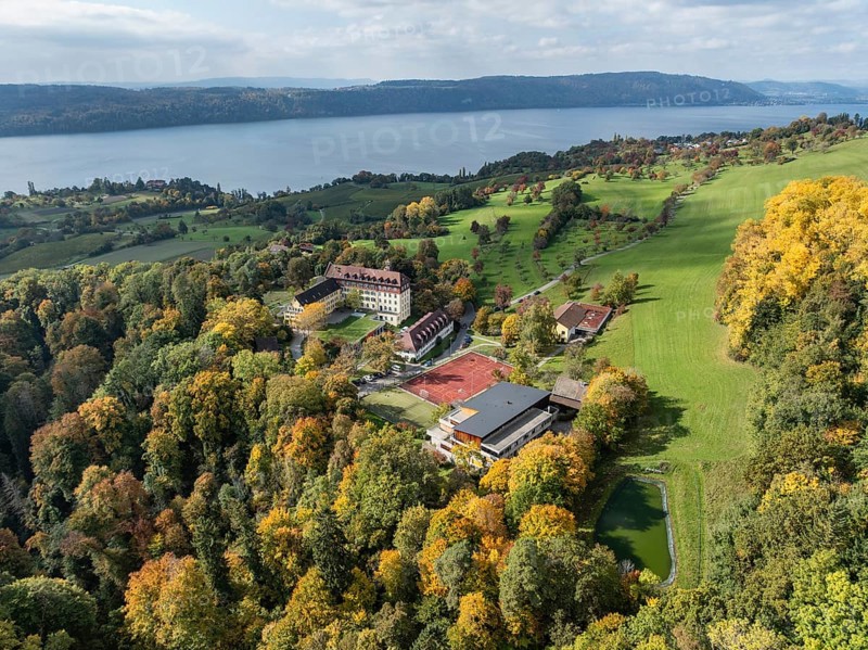 Aerial view of Lake Constance, Überlinger See, surrounded by autumn vegetation with Spetzgart Castle, Salem International College, Bodanrück on the horizon, Lake Constance District, Baden-Württemberg, Germany