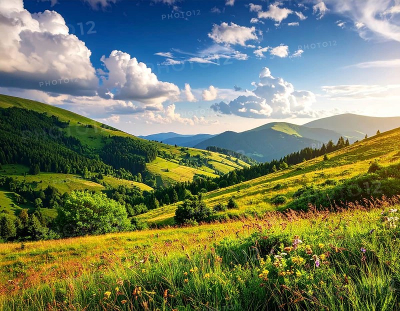 Fresh summer hilly Landscape with blooming Meadow, green plants, Blue Sky with cloudy sky, serene nature background, AI generated