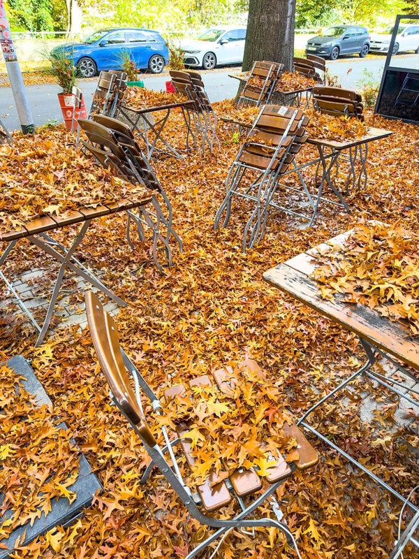 Autumn in town, car parked under deciduous tree, swamp oak, ground and vehicle covered with fallen leaves, Essen, North Rhine-Westphalia