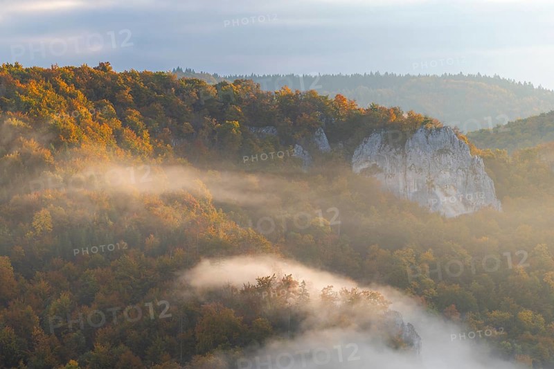 View from the Knopfmacherfels into the Danube valley, limestone rock, rock face, mixed forest, autumn colours, fog, autumn, Fridingen, Upper Danube nature park Park, Baden-Württemberg, Germany