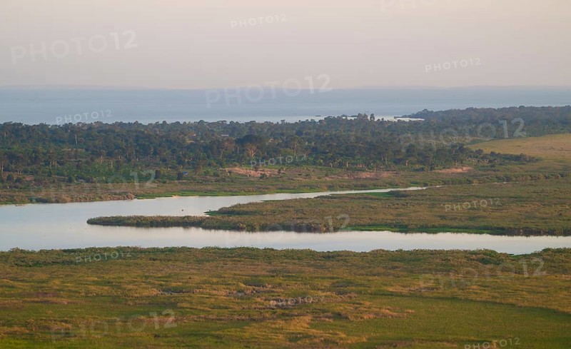 Landscape, Lake Victoria and Mabamba Swamp, Lake Victoria, Uganda