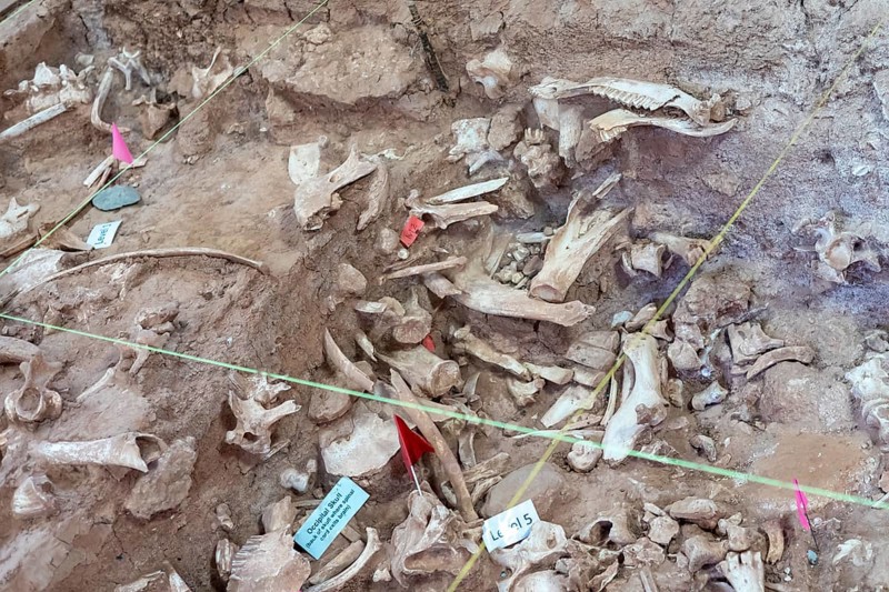 Beulah, Wyoming - The Vore Buffalo Jump, a sinkhole used by Plains Indians as a trap for bison from about 1550 through 1800. Archaeologists have uncovered thousands of bones, though only about 10 percent of the site has been excavated