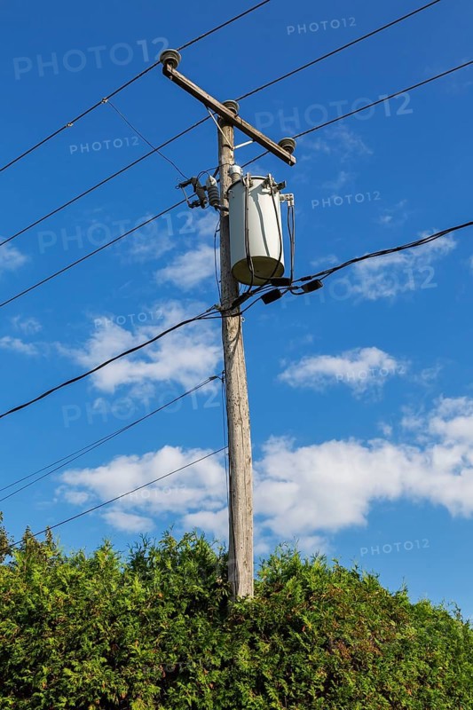 Electricity transformer, high voltage transmission wires, internet, telephone cables attached to wooden utility pole in Thuja - Cedar hedge, Quebec, Canada