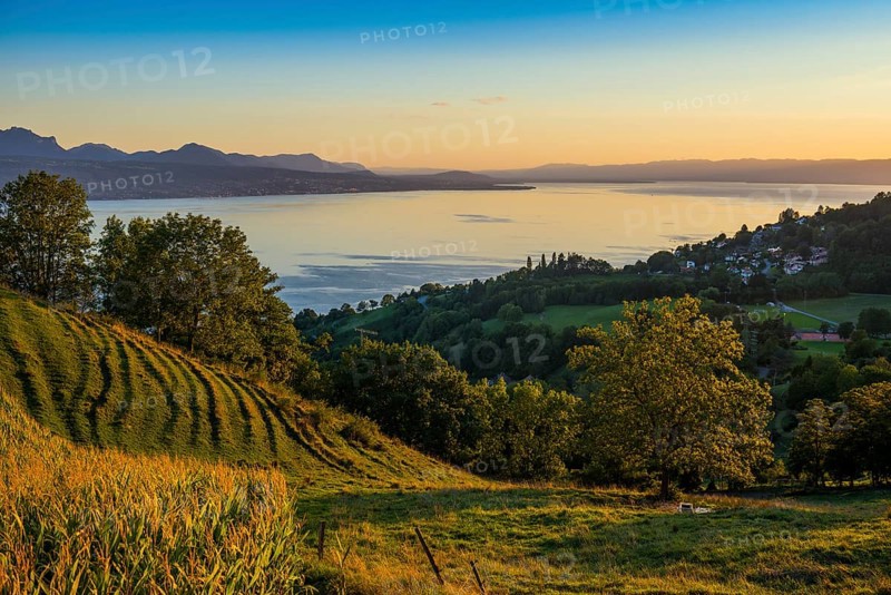 Panorama, Lake and mountains, Tour-de-Gourze, Riex, Sunset, Lavaux, UNESCO World Heritage Site, Lake Geneva, Lac Léman, Canton of Vaud, Switzerland