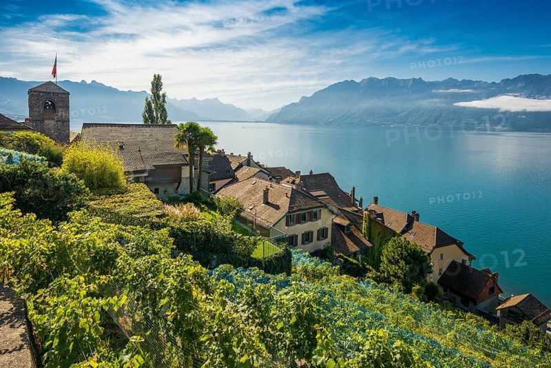 Picturesque village in the vineyards by the lake, Saint-Saphorin, Lavaux, UNESCO World Heritage Site, Lake Geneva, Lac Léman, Canton of Vaud, Switzerland