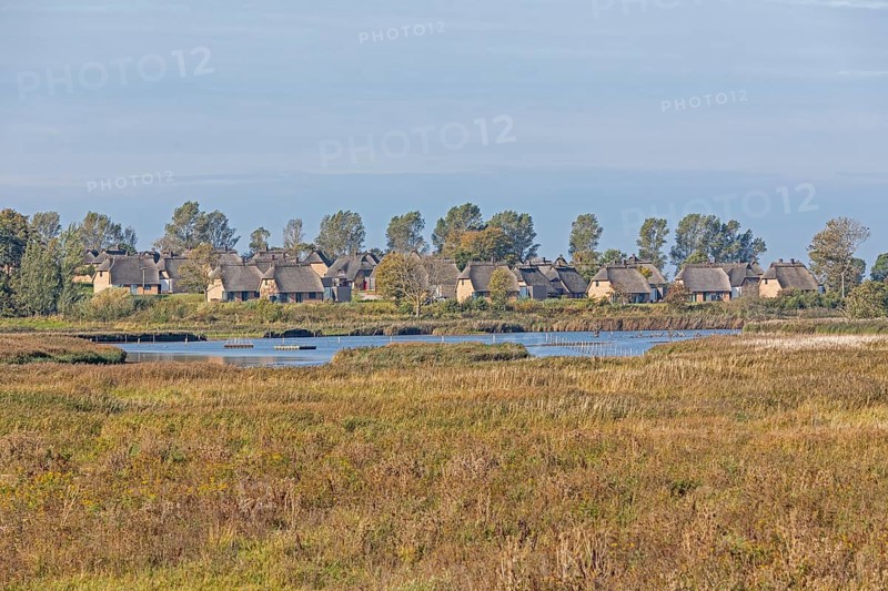 Holiday village Reetdorf Geltinger Birk, Geltinger Birk nature reserve, Geltinger Bucht, Schleswig-Holstein, Germany