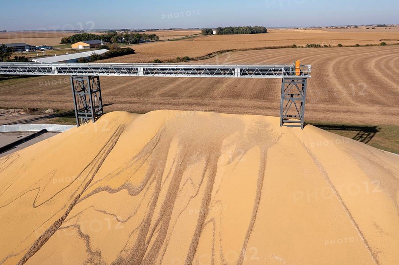 Inwood, Iowa - Newly-harvested corn is piled up at Cooperative Farmers Elevator (CFE). The pile will be covered by a tarp for the winter and then sold in the spring