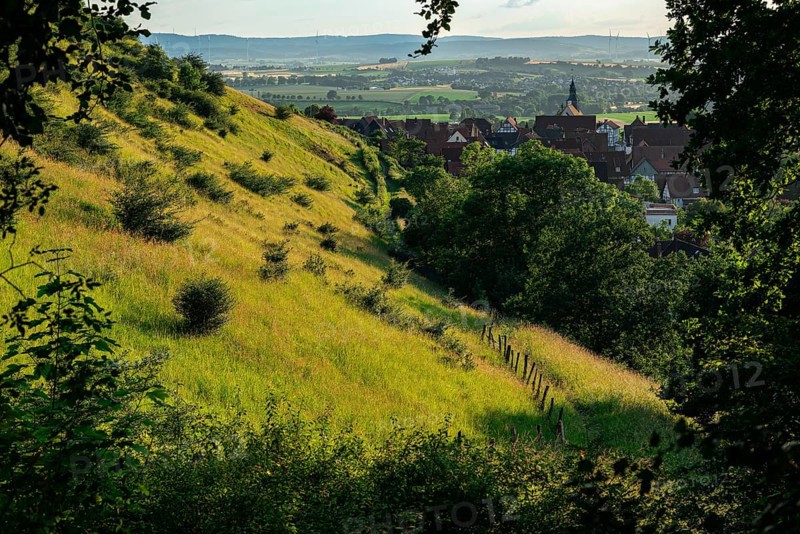Elevated view over a green pasture to the old town centre of Schwalenberg, Schieder-Schwalenberg, Teutoburg Forest, North Rhine-Westphalia, Germany