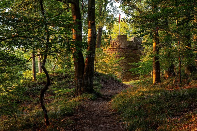 View through the forest to the tower of the Königszinne near Bodenwerder, Solling-Vogler region, Lower Saxony, Germany