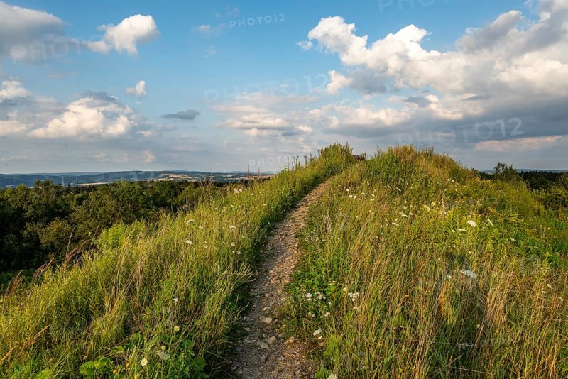 Hiking trail to the summit of the Steinberg under a blue sky with picturesque clouds, Extertal, North Rhine-Westphalia, Germany