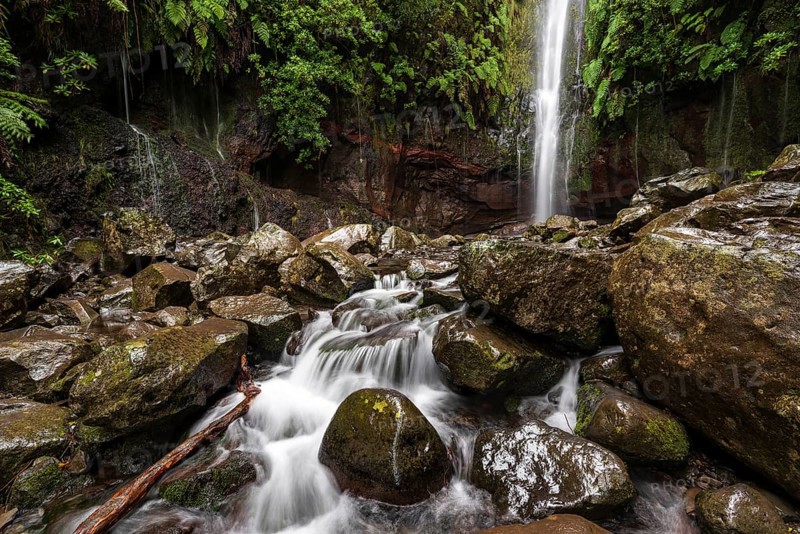 A large waterfall and many small watercourses pour down onto the rocks in the mystical 25 Fontes basin covered in ferns and moss, Levada das 25 Fontes (PR 6), Rabaçal nature reserve, Madeira, Portugal