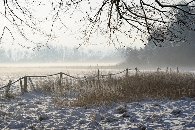 Winterlandschaft, aufsteigender Bodennebel im Licht der Morgensonne, Nordrhein-Westfalen, Deutschland