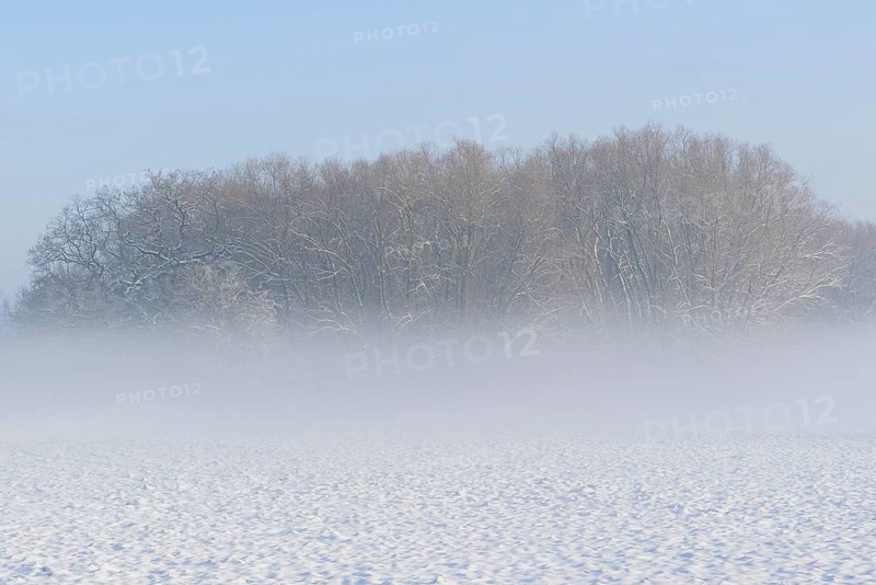 Winterlandschaft, Bodennebel steigt vor schneebedeckten Bäumen auf, blauer Himmel, Nordrhein-Westfalen, Deutschland