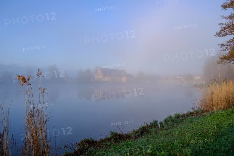 Morning atmosphere, fog at the Fischhof, Tirschenreuth, Upper Palatinate, Bavaria, Germany